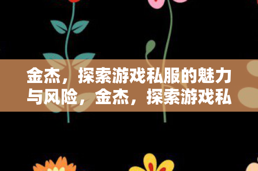 金杰，探索游戏私服的魅力与风险，金杰，探索游戏私服，魅力与风险并存