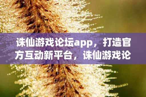 诛仙游戏论坛app图片