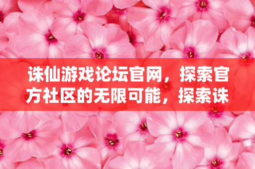 探索官方社区的无限可能图片