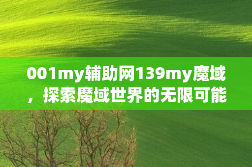 001my辅助网139my魔域图片