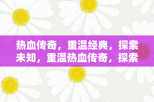 重温热血传奇图片