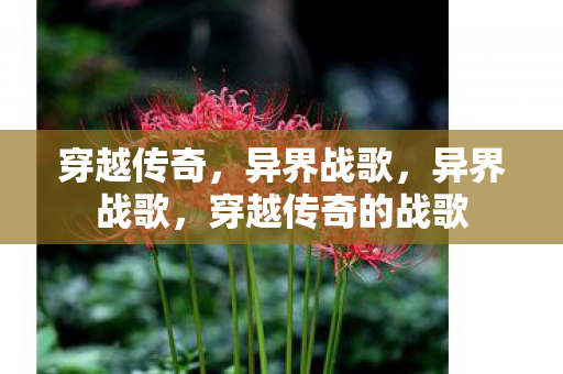 穿越传奇,异界战歌,异界战歌,穿越传奇的战歌 穿越传奇,异界战歌,异界战歌,穿越传奇的战歌
