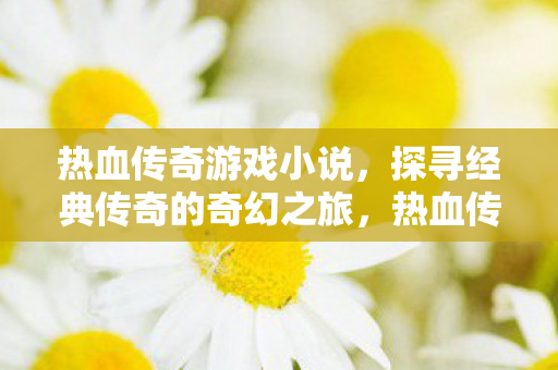 热血传奇游戏小说，探寻经典传奇的奇幻之旅，热血传奇，探寻经典传奇的奇幻之旅