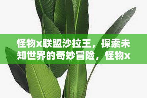 怪物x联盟沙拉王，探索未知世界的奇妙冒险，怪物x联盟沙拉王，探索未知世界的奇妙冒险