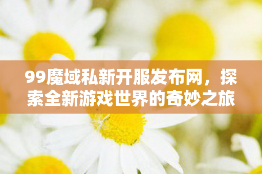 探索全新游戏世界的奇妙之旅图片