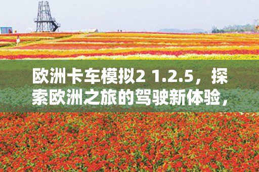 欧洲卡车模拟2 1.2.5，探索欧洲之旅的驾驶新体验，欧洲卡车模拟2 1.2.5，驾驶新体验，探索欧洲之旅