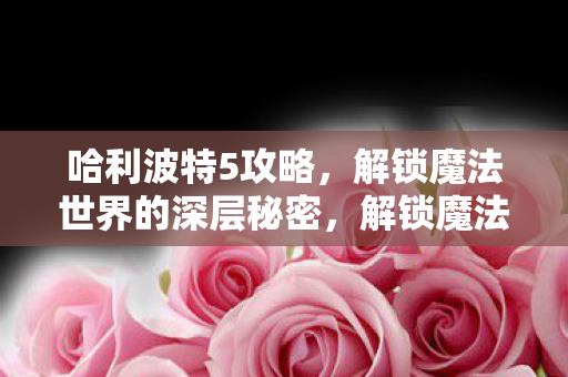 哈利波特5攻略,解锁魔法世界的深层秘密,解锁魔法世界,哈利波特5攻略全解析 哈利波特5攻略,解锁魔法世界的深层秘密,解锁魔法世界,哈利波特5攻略全解析
