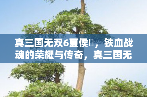 夏侯惇的荣耀与传奇铁血战魂图片