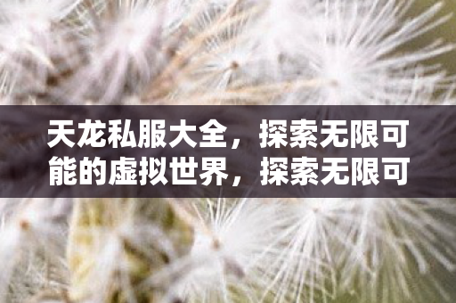 天龙私服大全，探索无限可能的虚拟世界，探索无限可能，天龙私服大全虚拟世界之旅