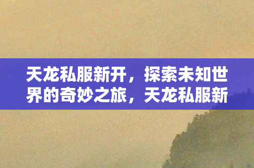 天龙私服新开，探索未知世界的奇妙之旅，天龙私服新开启，探索未知世界的奇妙冒险之旅