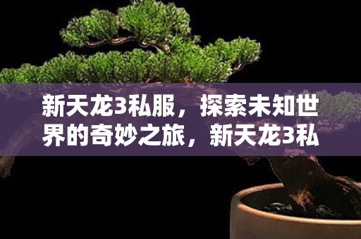 新天龙3私服，探索未知世界的奇妙之旅，新天龙3私服，探索未知世界的奇妙之旅