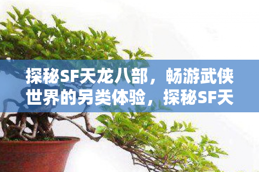 探秘SF天龙八部，畅游武侠世界的另类体验，探秘SF天龙八部，畅游武侠世界的另类体验