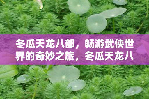 冬瓜天龙八部，畅游武侠世界的奇妙之旅，冬瓜天龙八部，畅游武侠世界的奇妙之旅