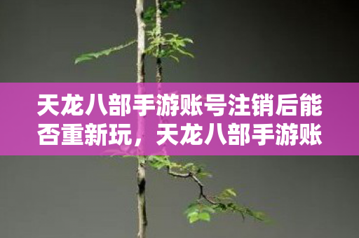 天龙八部手游账号注销后能否重新玩图片