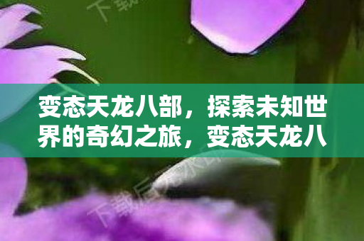 变态天龙八部，探索未知世界的奇幻之旅，变态天龙八部，奇幻之旅探索未知世界