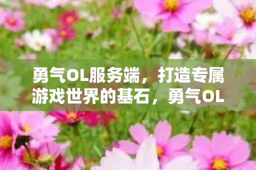 勇气OL服务端，打造专属游戏世界的基石，勇气OL服务端，打造专属游戏世界的基石