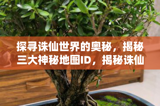揭秘诛仙三大神秘地图ID图片