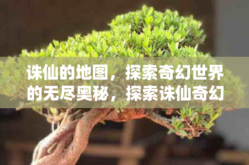 探索奇幻世界的无尽奥秘图片