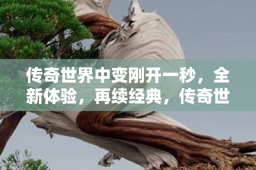 传奇世界中变刚开一秒图片