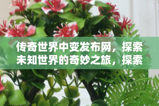 探索未知世界的奇妙之旅图片