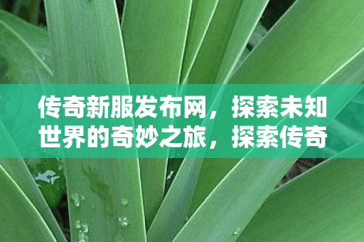 探索未知世界的奇妙之旅图片