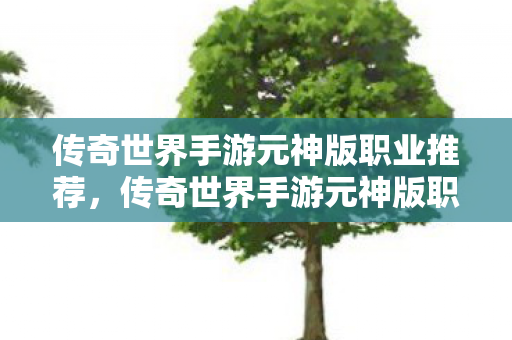 传奇世界手游元神版职业推荐图片