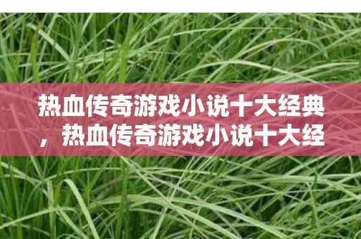 热血传奇游戏小说十大经典图片