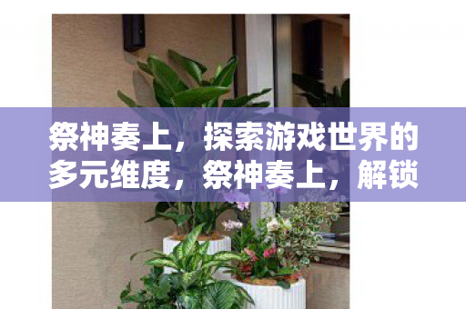 祭神奏上，探索游戏世界的多元维度，祭神奏上，解锁游戏世界的多元维度