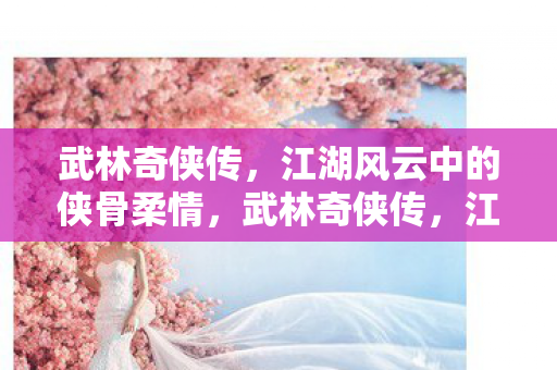 武林奇侠传，江湖风云中的侠骨柔情，武林奇侠传，江湖风云中的侠骨柔情
