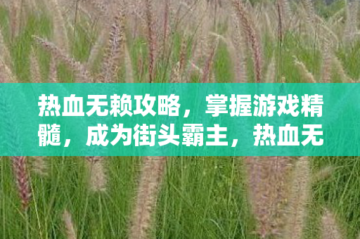 热血无赖攻略，掌握游戏精髓，成为街头霸主，热血无赖，掌握游戏精髓，称霸街头