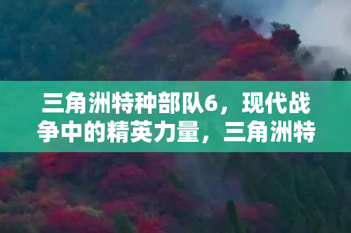 现代战争中的精英力量图片