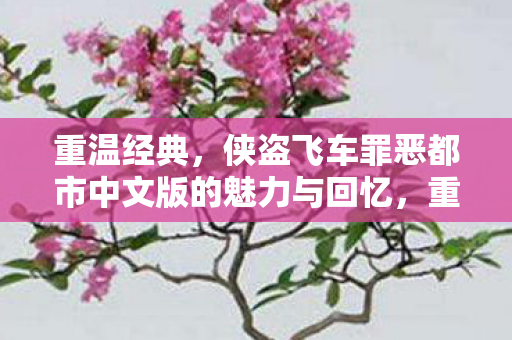 重温经典，侠盗飞车罪恶都市中文版的魅力与回忆，重温经典，侠盗飞车罪恶都市中文版的魅力与回忆