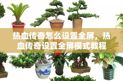 热血传奇设置全屏模式教程图片