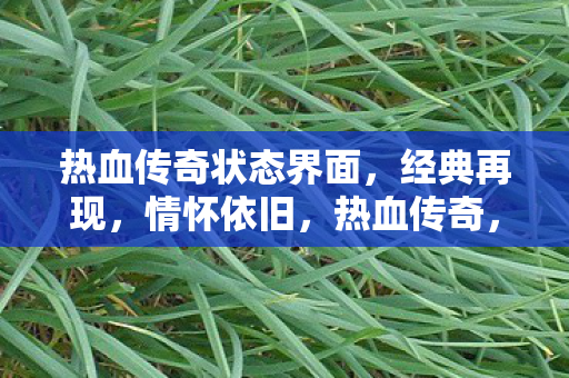 热血传奇状态界面，经典再现，情怀依旧，热血传奇，经典再现，情怀依旧