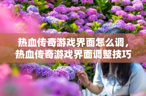 热血传奇游戏界面调整技巧图片