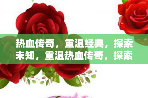 重温热血传奇图片