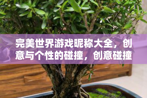 完美世界游戏昵称大全，创意与个性的碰撞，创意碰撞个性，完美世界游戏昵称精选