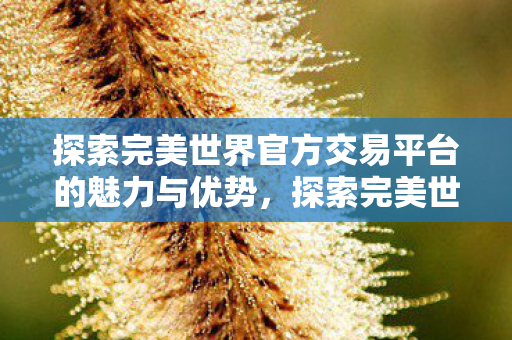 探索完美世界官方交易平台的魅力与优势,探索完美世界官方交易平台的魅力与优势 探索完美世界官方交易平台的魅力与优势,探索完美世界官方交易平台的魅力与优势