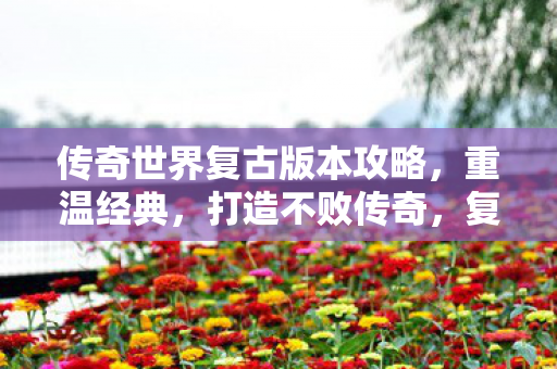 传奇世界复古版本攻略图片