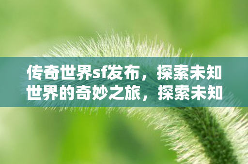 探索未知世界的奇妙之旅图片