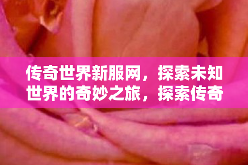 探索未知世界的奇妙之旅图片