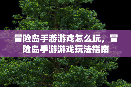 冒险岛手游游戏玩法指南图片