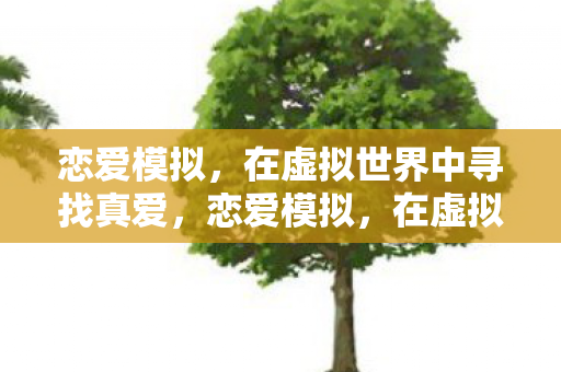 在虚拟世界中寻找真爱之旅图片