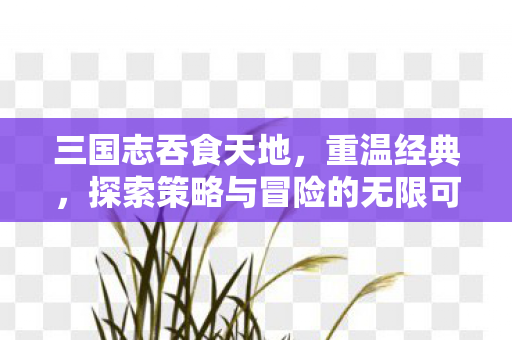 三国志吞食天地,重温经典,探索策略与冒险的无限可能,三国志吞食天地,重温经典,探索策略与冒险的无限可能 三国志吞食天地,重温经典,探索策略与冒险的无限可能,三国志吞食天地,重温经典,探索策略与冒险的无限可能