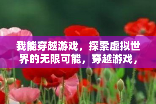我能穿越游戏,探索虚拟世界的无限可能,穿越游戏,探索虚拟世界的无限可能 我能穿越游戏,探索虚拟世界的无限可能,穿越游戏,探索虚拟世界的无限可能