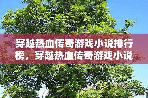 穿越热血传奇游戏小说排行榜图片