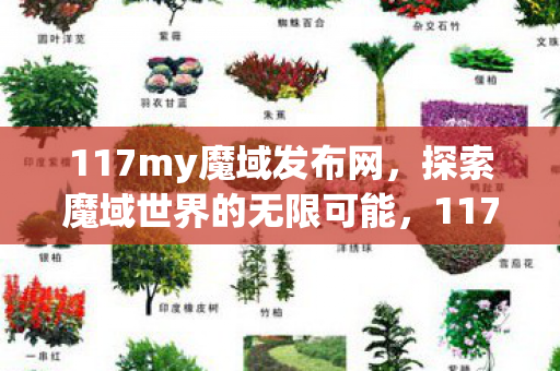 探索魔域世界的无限可能图片