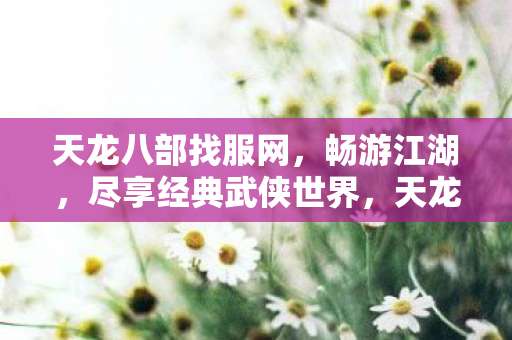 天龙八部找服网，畅游江湖，尽享经典武侠世界，天龙八部找服网，畅游江湖，尽享经典武侠世界