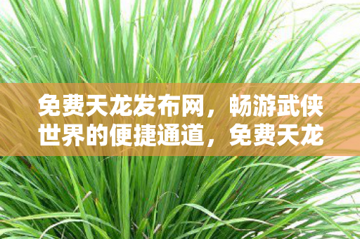 免费天龙发布网，畅游武侠世界的便捷通道，免费天龙发布网，畅游武侠世界的便捷通道