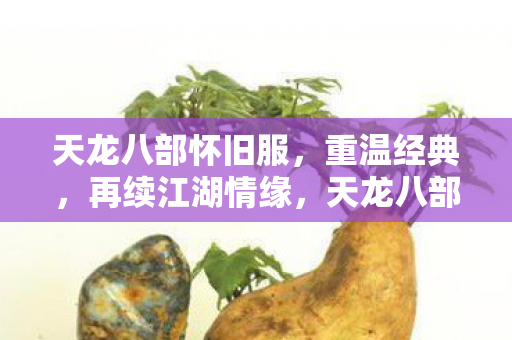 天龙八部怀旧服图片
